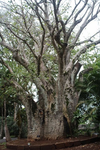 Mauritius 2017 980
